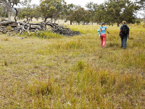 Carnarvon National Park Camping - New Castle Holiday 0