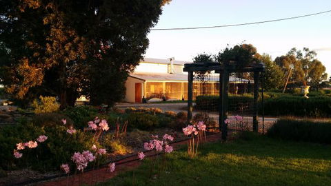 Angas Plains Estate Wines Heritage Suite - New Castle Holiday 3