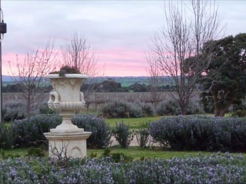 Angas Plains Estate Wines Heritage Suite - New Castle Holiday 4