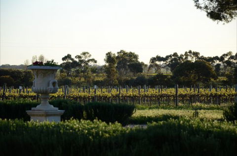 Angas Plains Estate Wines Heritage Suite - New Castle Holiday 6