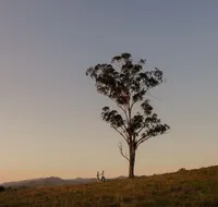 Faulls Ridge Winery - New Castle Holiday