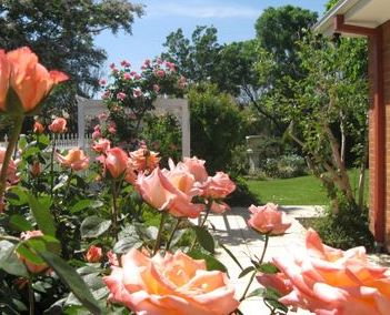 The Clarenton - New Castle Holiday 0