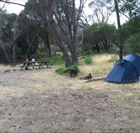 Allports Beach Camping Ground - New Castle Holiday