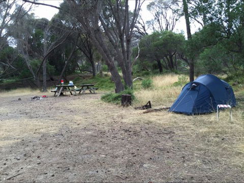 Allports Beach Camping Ground - New Castle Holiday 0