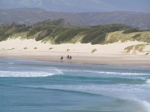 Arties Cottage Accommodation - New Castle Holiday 5