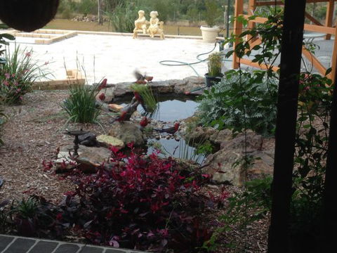 BellbirdHill Bed And Breakfast - New Castle Holiday 8
