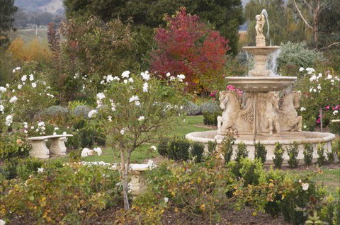 Brookfield Guesthouse - New Castle Holiday 5