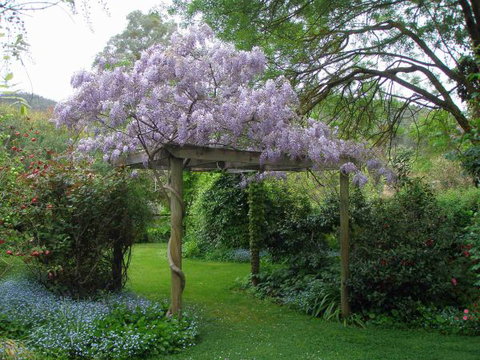 Brookfield Guesthouse - New Castle Holiday 8