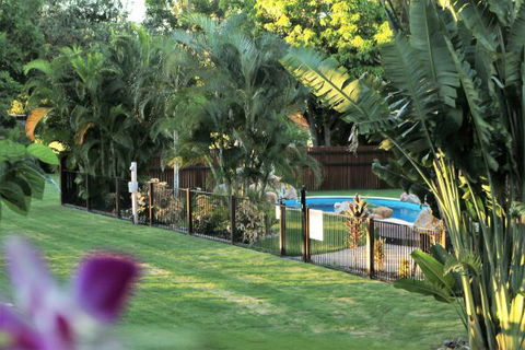 Bush Oasis Caravan Park - New Castle Holiday 4