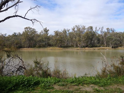 Chowilla Station Shearer's Quarters Accommodation - New Castle Holiday 1