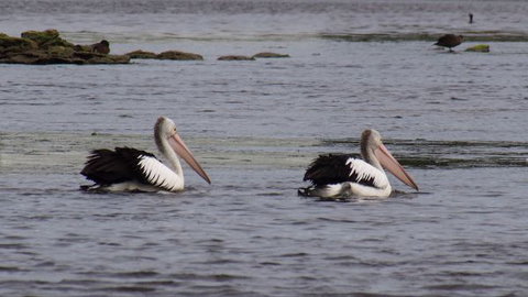 Douglas Riverside - New Castle Holiday 7