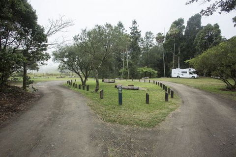 Eungella National Park Camping Ground - New Castle Holiday 0