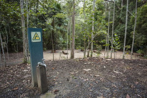 Eungella National Park Camping Ground - New Castle Holiday 2