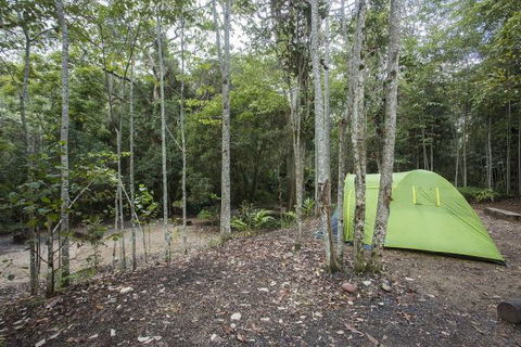 Eungella National Park Camping Ground - New Castle Holiday 3