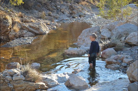 Flinders Bush Retreats - New Castle Holiday 8