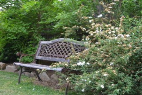 Garden Cottage B And B - New Castle Holiday 4