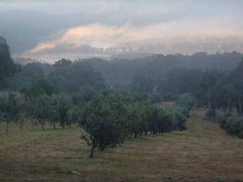 Guy's Cross Farm Cottage - New Castle Holiday 3