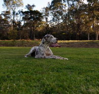 Hunter Valley Retreat - New Castle Holiday