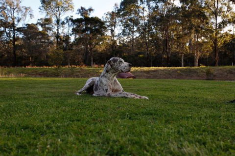 Hunter Valley Retreat - New Castle Holiday 0