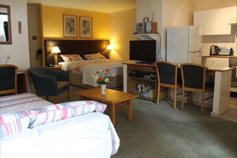 Hyde Park Sydney Luxury Studio Apartments - New Castle Holiday 3
