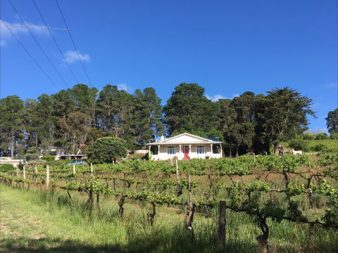 Karawatha Cottages B&B - New Castle Holiday 1