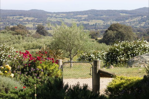 L'Oliveraie - New Castle Holiday 1