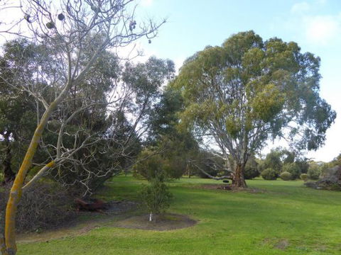 Lemontree Cottage Kangaroo Island - New Castle Holiday 2