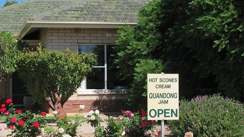 Schultz Farm - New Castle Holiday 0