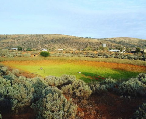 Mount Ive - New Castle Holiday 0