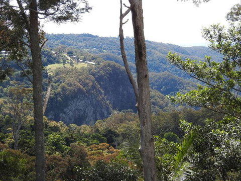 Mt Tamborine Motel - New Castle Holiday 0
