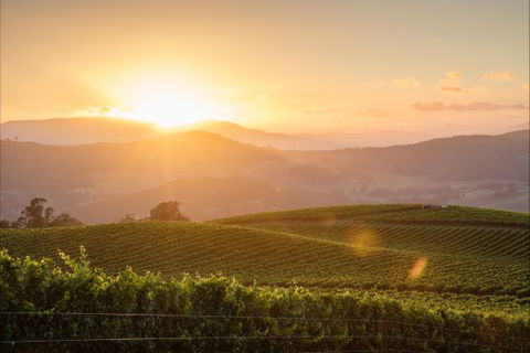 Mt Bellevue Lodge - King Valley - New Castle Holiday 1