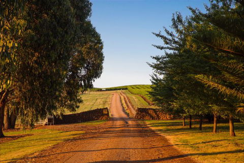 Mt Bellevue Lodge - King Valley - New Castle Holiday 3