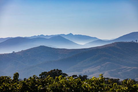 Mt Bellevue Lodge - King Valley - New Castle Holiday 4
