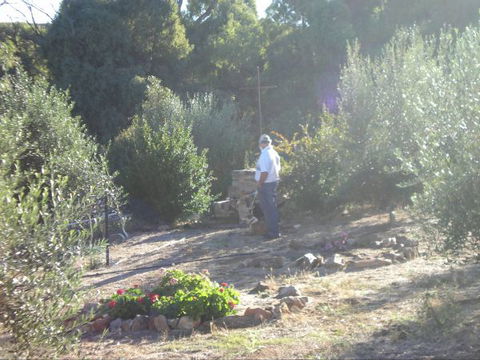 Olive Grove Retreat - New Castle Holiday 5