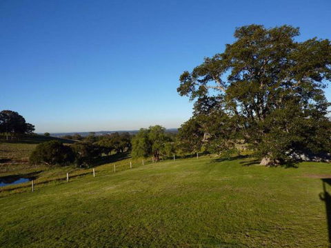 Orangevale At Mount View - New Castle Holiday 2