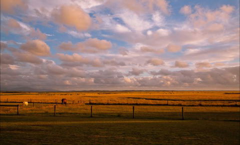 Sanctuary@Waratah - New Castle Holiday 8