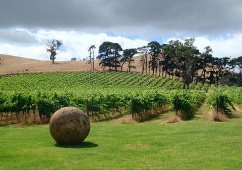 Sandalwood Shearing Shed - New Castle Holiday 7