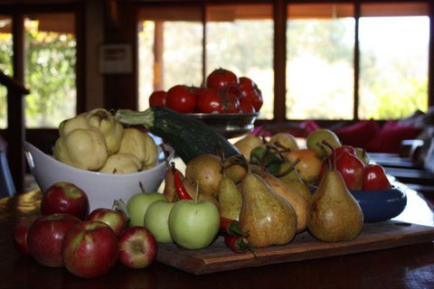 Stockyard Creek - New Castle Holiday 1