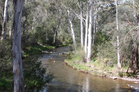 Stockyard Creek - New Castle Holiday 2