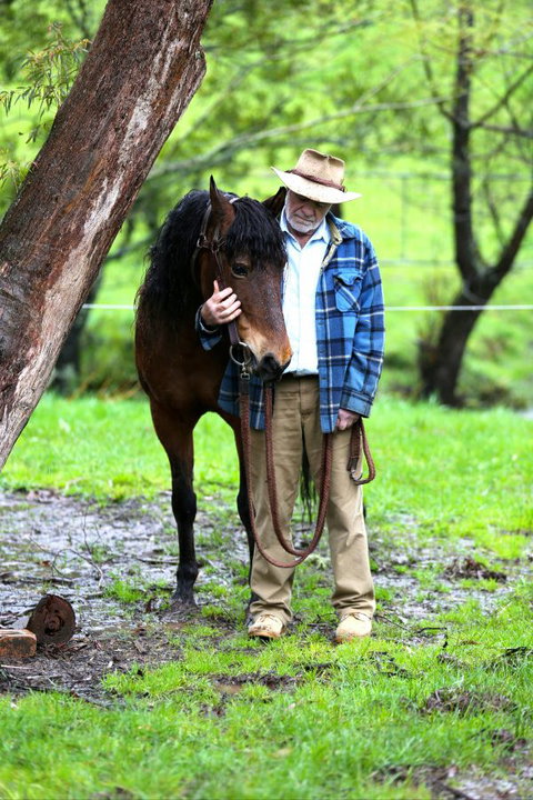 Stockyard Creek - New Castle Holiday 4