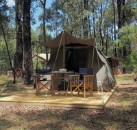 Tall Trees Camping on the Great Ocean Road - New Castle Holiday