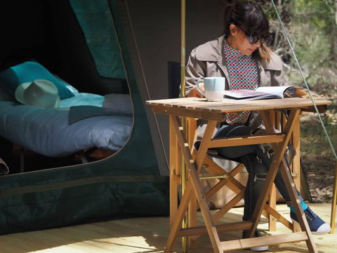 Tall Trees Camping On The Great Ocean Road - New Castle Holiday 1