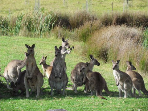 Tanja Lagoon Camp - New Castle Holiday 6