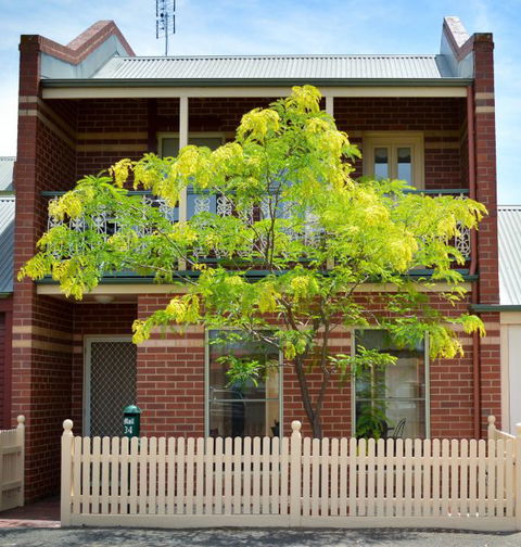 Turner Terrace - New Castle Holiday 0