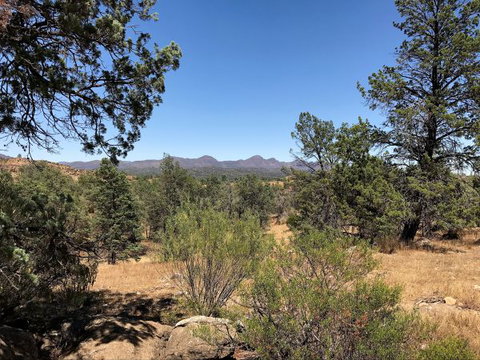 Upalinna Station - New Castle Holiday 0