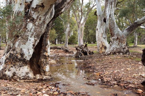 Upalinna Station - New Castle Holiday 2