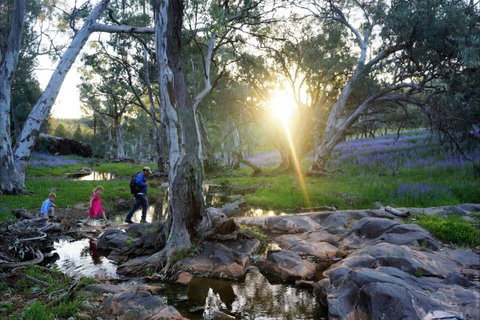 Upalinna Station - New Castle Holiday 3