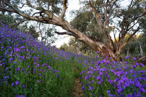 Upalinna Station - New Castle Holiday 4