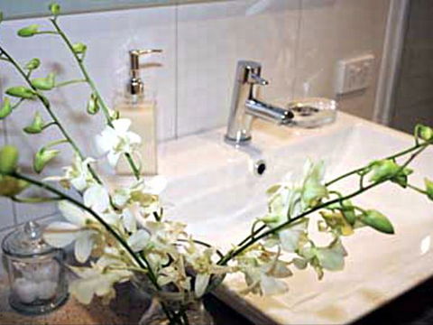 Via Bella Vista - New Castle Holiday 8