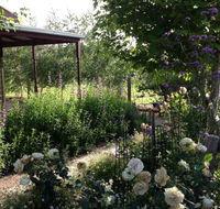 Wandana Bed and Breakfast - New Castle Holiday